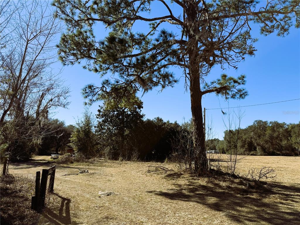 7400 Northeast 199th Street Road Citra, FL 32113 - Photo 2 of 21