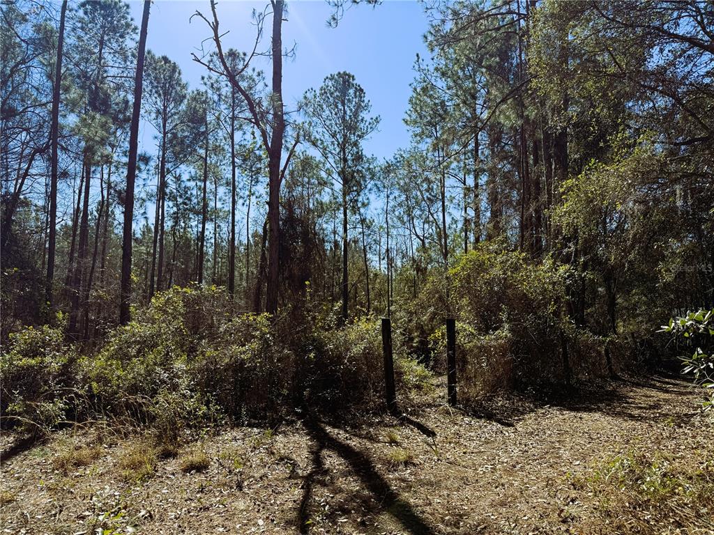 7400 Northeast 199th Street Road Citra, FL 32113 - Photo 21 of 21