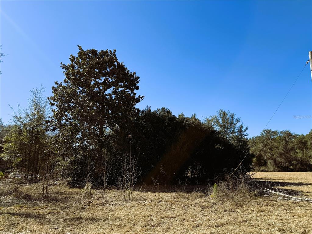 7400 Northeast 199th Street Road Citra, FL 32113 - Photo 5 of 21