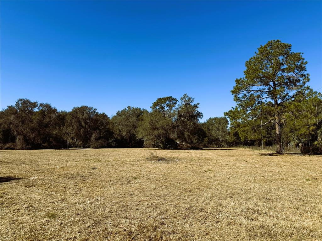 7400 Northeast 199th Street Road Citra, FL 32113 - Photo 6 of 21