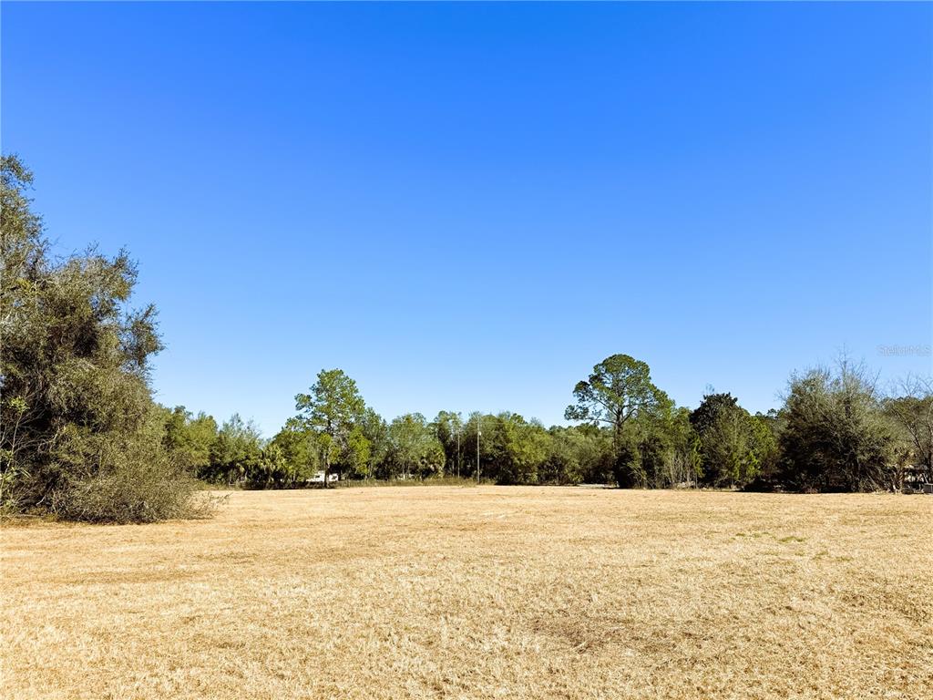 7400 Northeast 199th Street Road Citra, FL 32113 - Photo 10 of 21