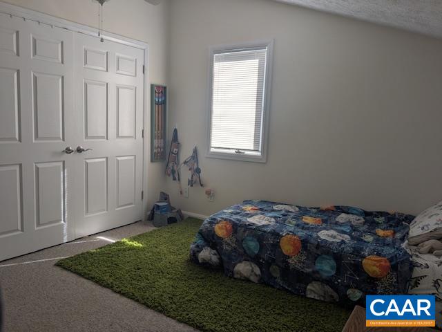 7 Stonewall Road Palmyra, VA 22963 - Photo 22 of 30