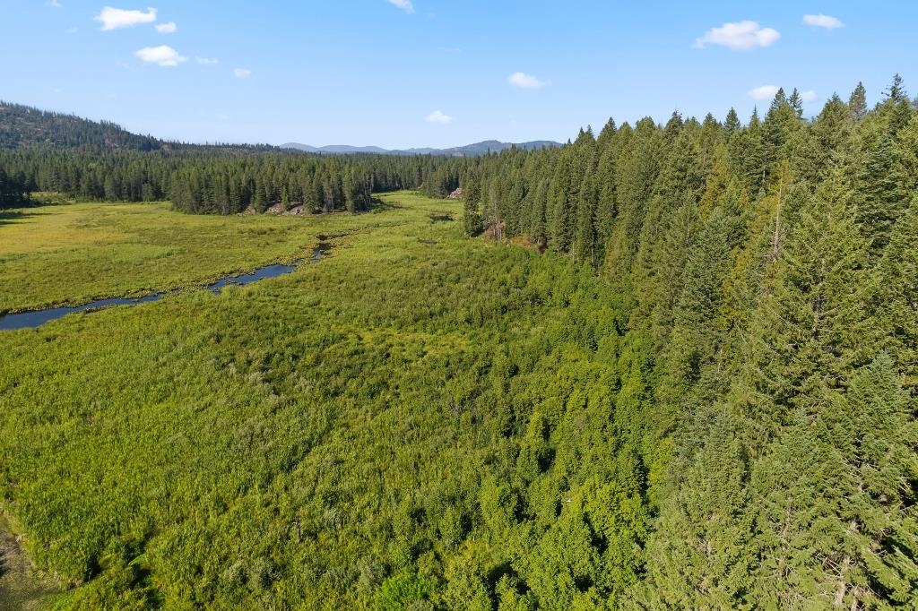 494 Bear Road Newport, WA 99156 - Photo 13 of 23