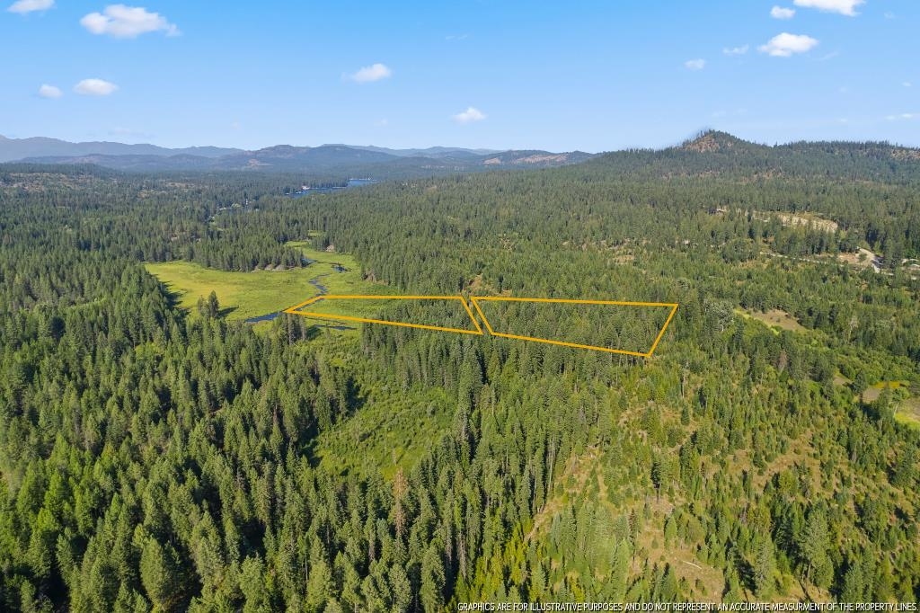 494 Bear Road Newport, WA 99156 - Photo 16 of 23