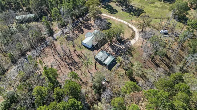 a view of a forest with houses
