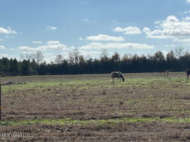 231 Laird Pittman Road Tylertown, MS 39667 - Photo 11 of 46 IMG_6930