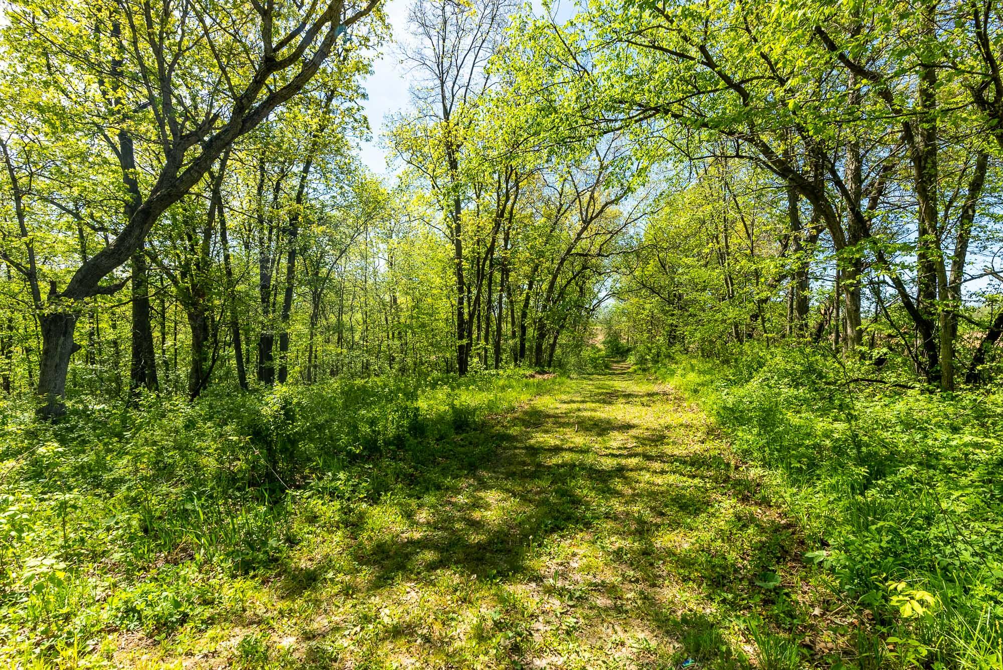 15999 Biba Road Muscoda, WI 53573 - Photo 77 of 103 Grant-County-WI-160-Acres-Land-For-Sale-