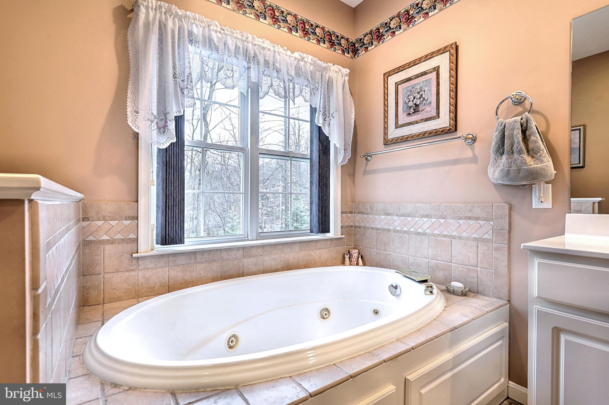 246 Big Spring Road Etters, PA 17319 - Photo 20 of 36 Jacuzzi Tub Master Bath