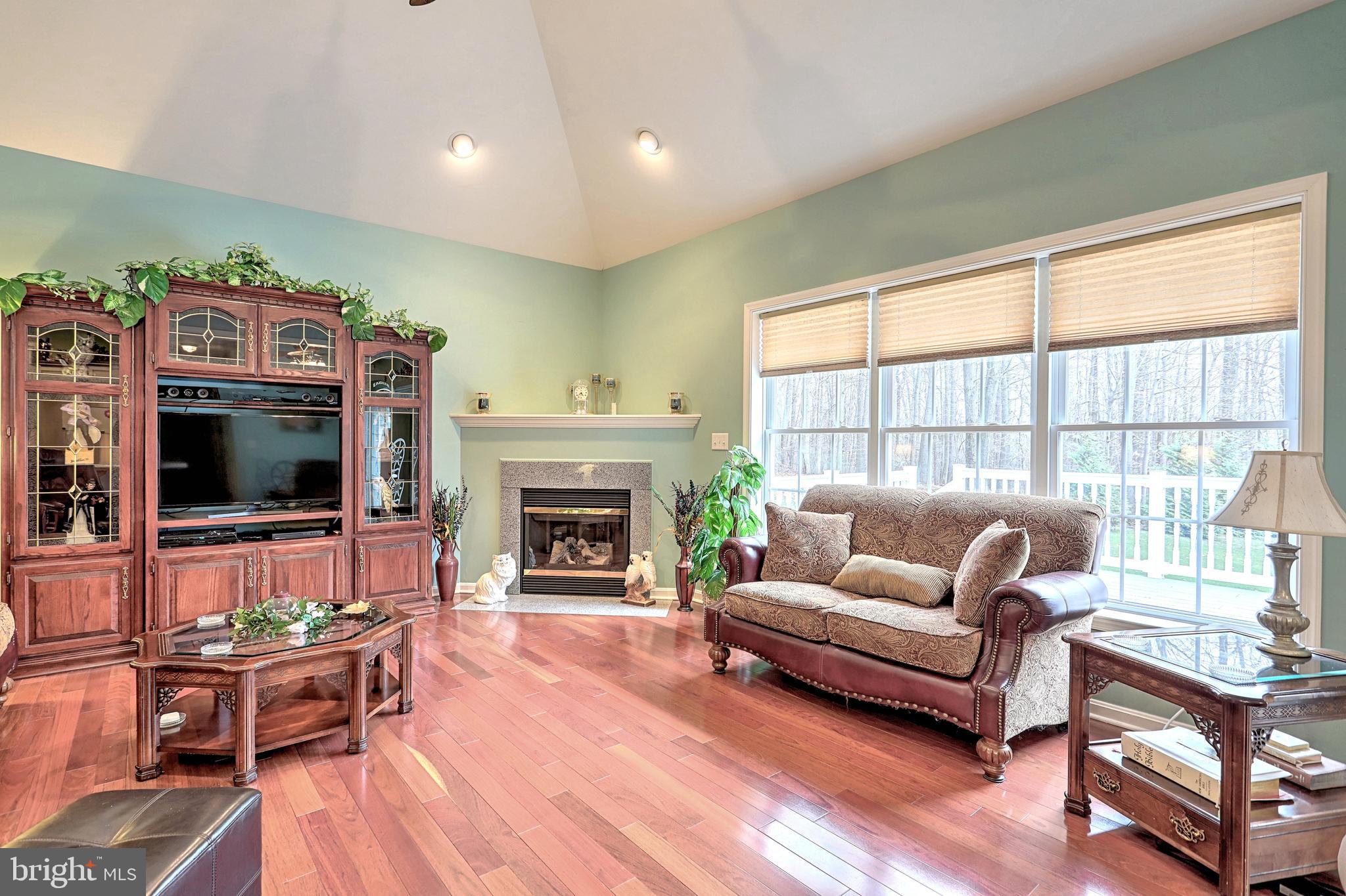 Large Living Room with Fireplace