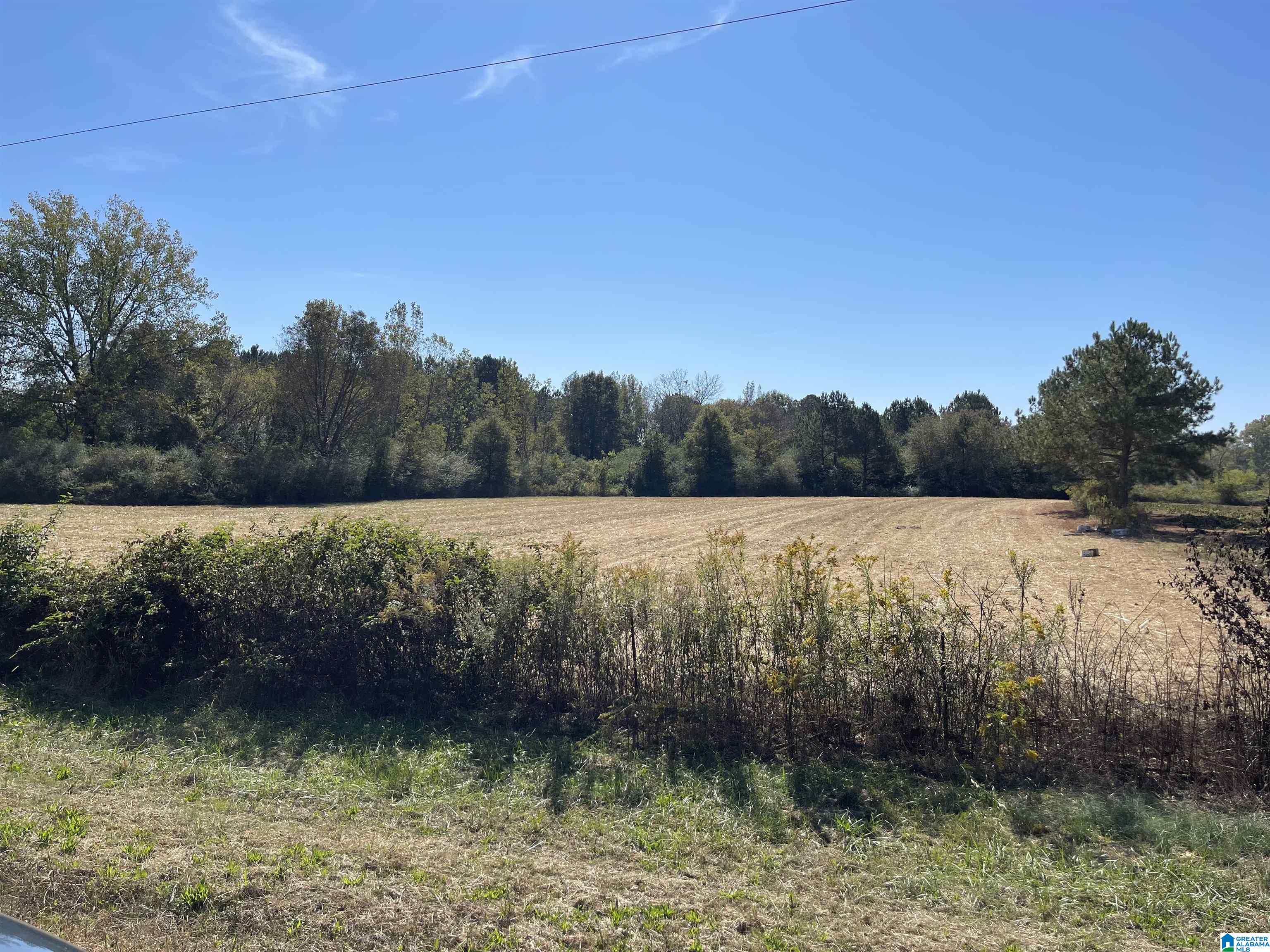 0 Farmingdale Road, Unit 28 Harpersville, AL 35078 - Photo 4 of 4