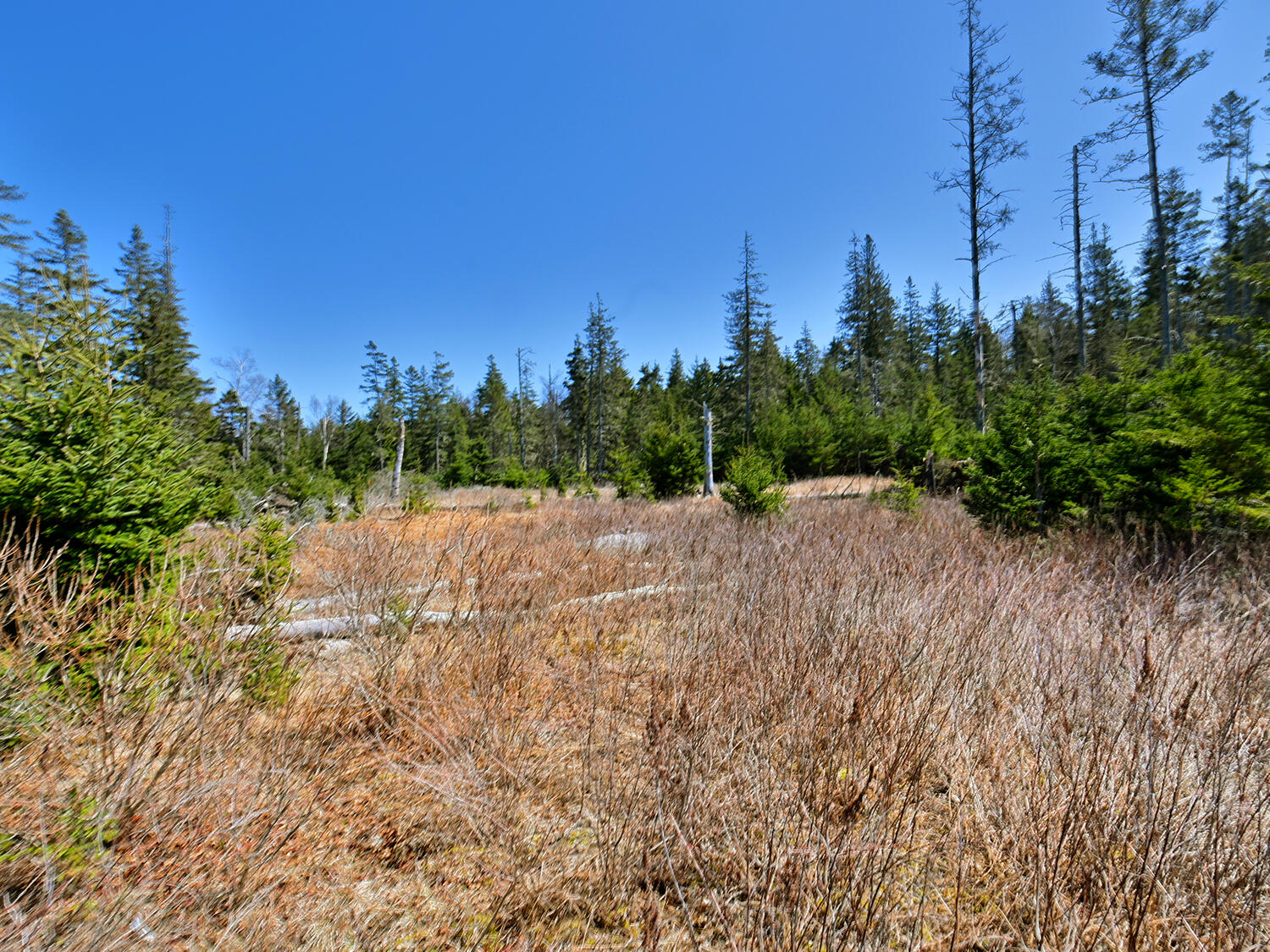 Lot 1 Jericho Bay Road Swans Island, ME 04685 - Photo 10 of 15 Sunset Point