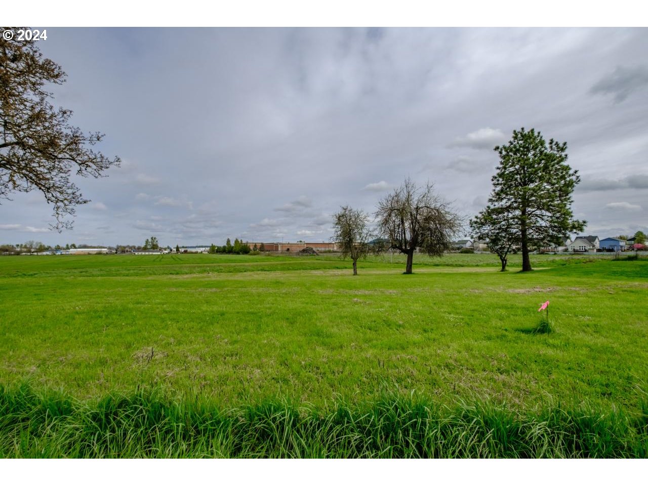 4055 Southeast Spicer Road Albany, OR 97322 - Photo 6 of 9