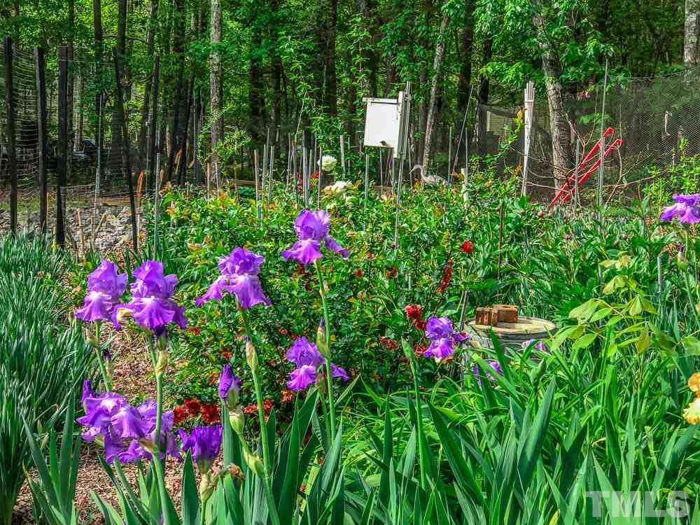 6407 Craig Road Durham, NC 27712 - Photo 6 of 25 Up the hill behind the pool is a garden area complete with many exotic plants and a deer fence!
