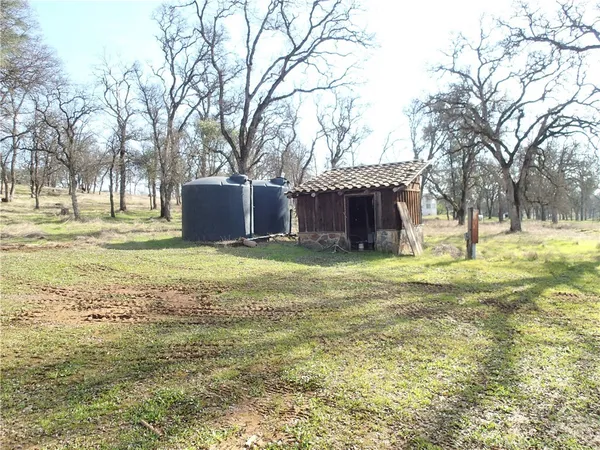 a view of a house with a yard and a large tree