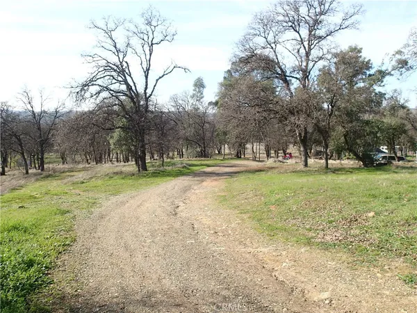 a view of green field