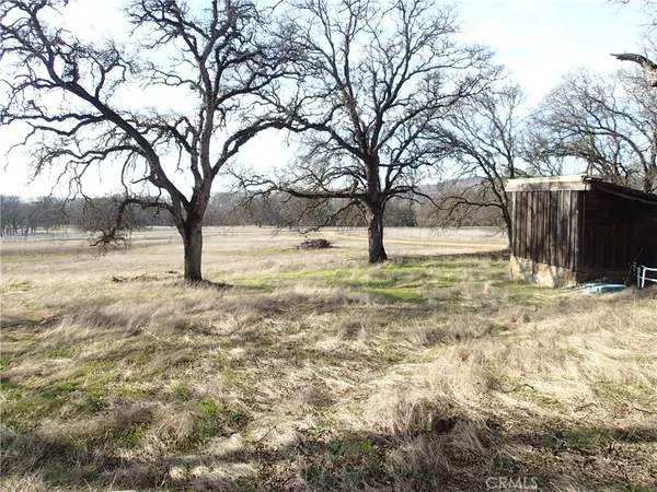 a view of yard with trees
