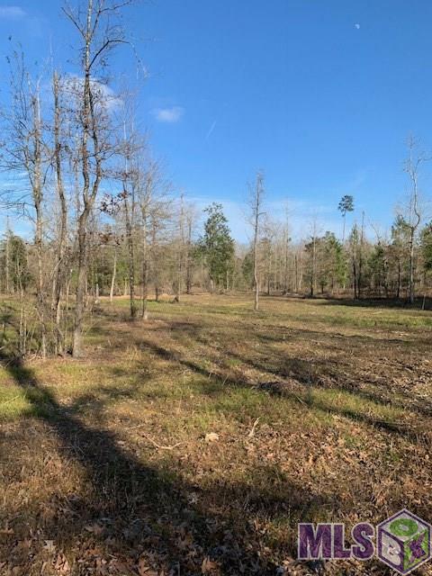 X4 Nesom Road Clinton, LA 70722 - Photo 3 of 8 Gallery Image 3