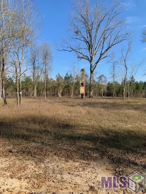 X4 Nesom Road Clinton, LA 70722 - Photo 8 of 8 Gallery Image 8