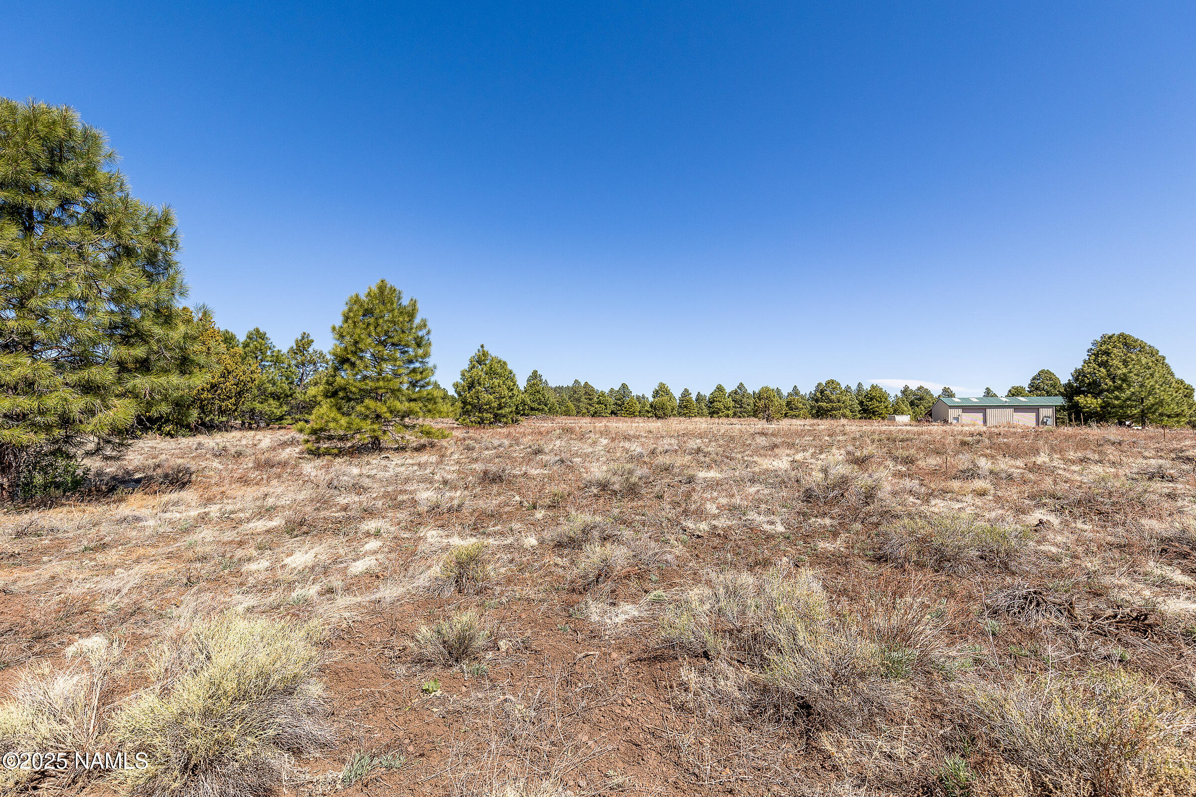 747 North Davenport Lk Road Williams, AZ 86046 - Photo 14 of 24 a view of a yard with a tree