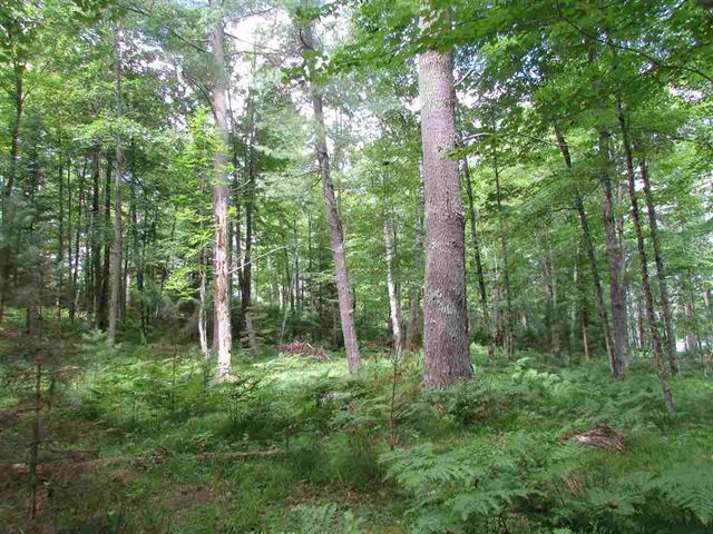 Tbd Paint River Road, Unit LOT 1 Crystal Falls, MI 49920 - Photo 2 of 4 Gallery Image 2