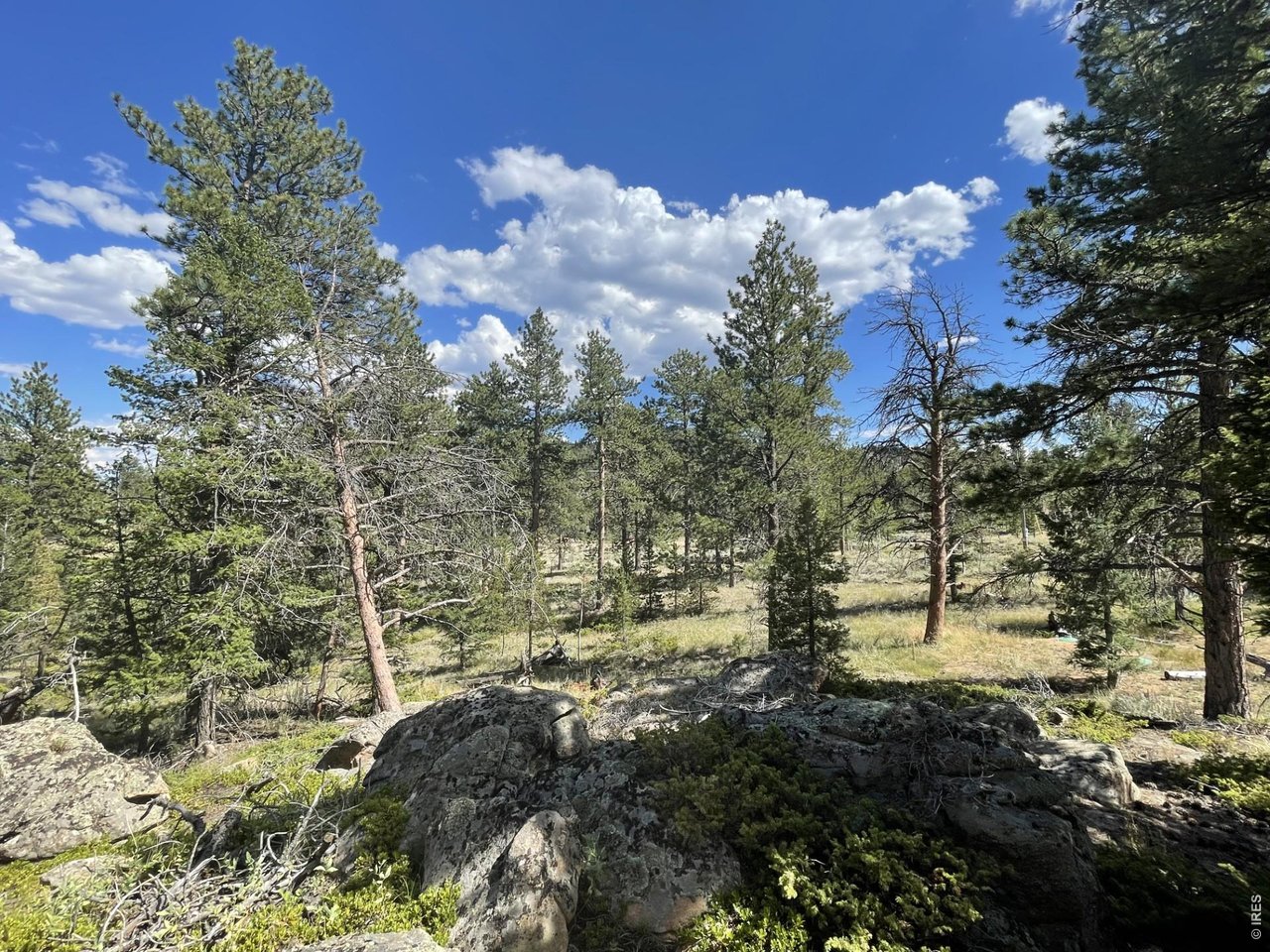 34 Shawnee Road Red Feather Lakes, CO 80545 - Photo 11 of 31