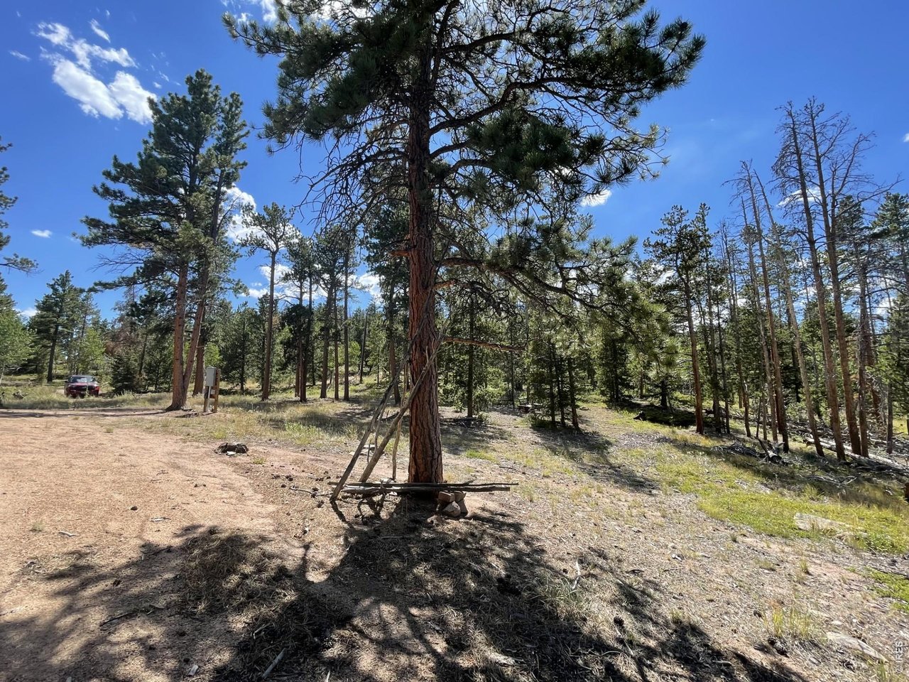 34 Shawnee Road Red Feather Lakes, CO 80545 - Photo 16 of 31