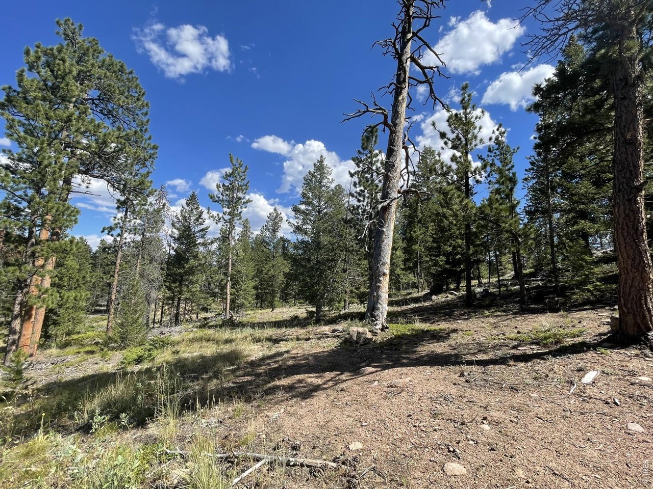 34 Shawnee Road Red Feather Lakes, CO 80545 - Photo 17 of 31