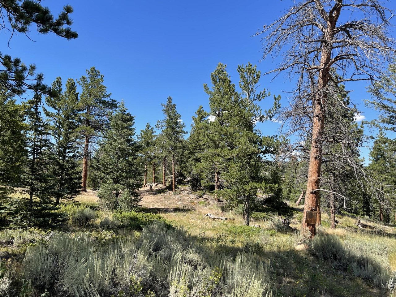 34 Shawnee Road Red Feather Lakes, CO 80545 - Photo 18 of 31