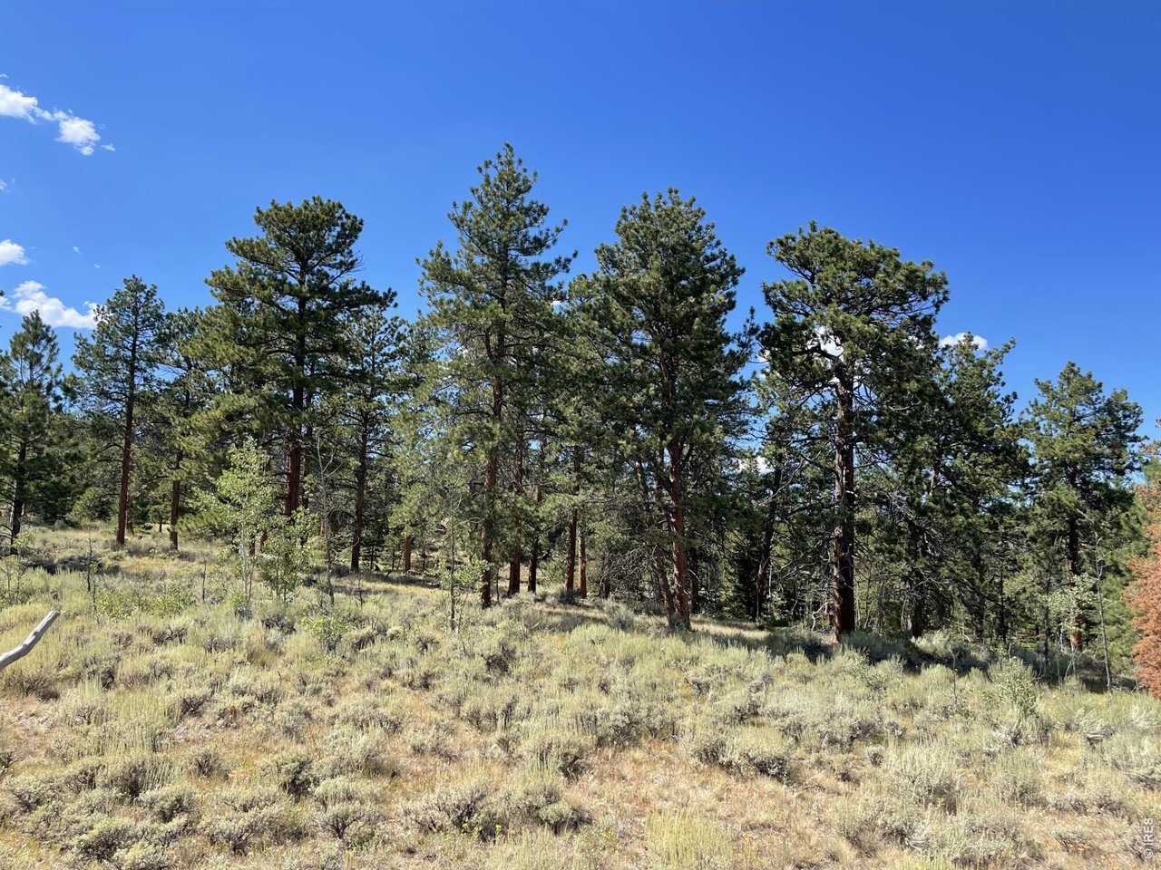34 Shawnee Road Red Feather Lakes, CO 80545 - Photo 21 of 31
