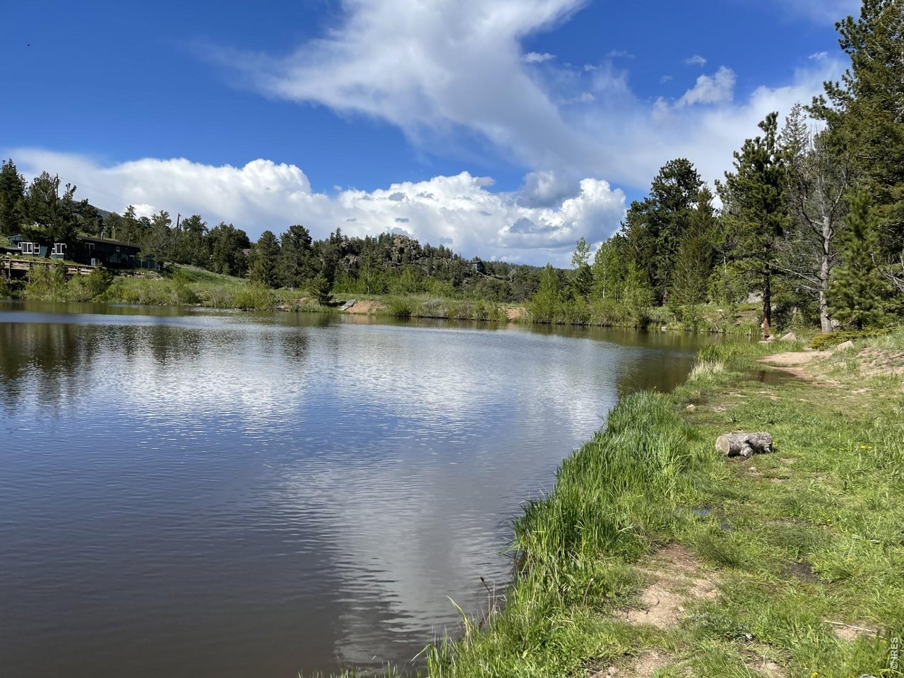 34 Shawnee Road Red Feather Lakes, CO 80545 - Photo 25 of 31 Lower Lone Pine close-up.