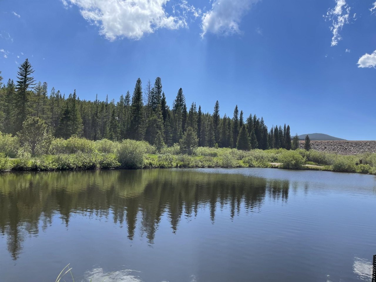 34 Shawnee Road Red Feather Lakes, CO 80545 - Photo 28 of 31 Snoopy Pond.