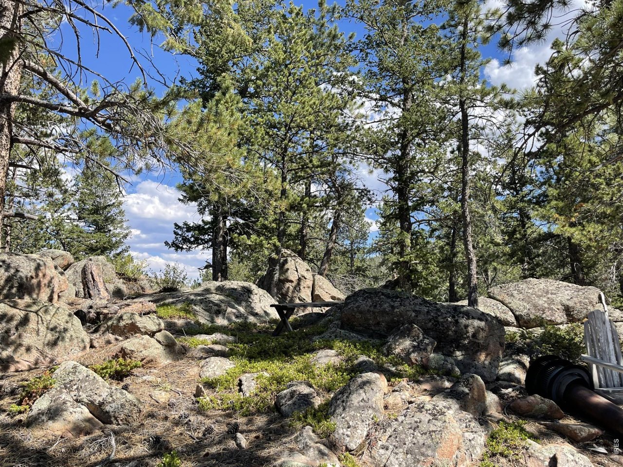 34 Shawnee Road Red Feather Lakes, CO 80545 - Photo 5 of 31