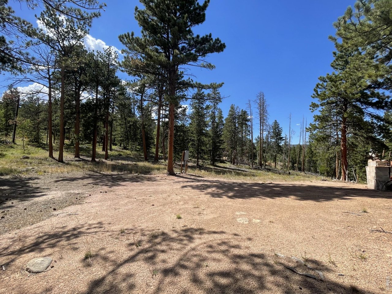 34 Shawnee Road Red Feather Lakes, CO 80545 - Photo 6 of 31