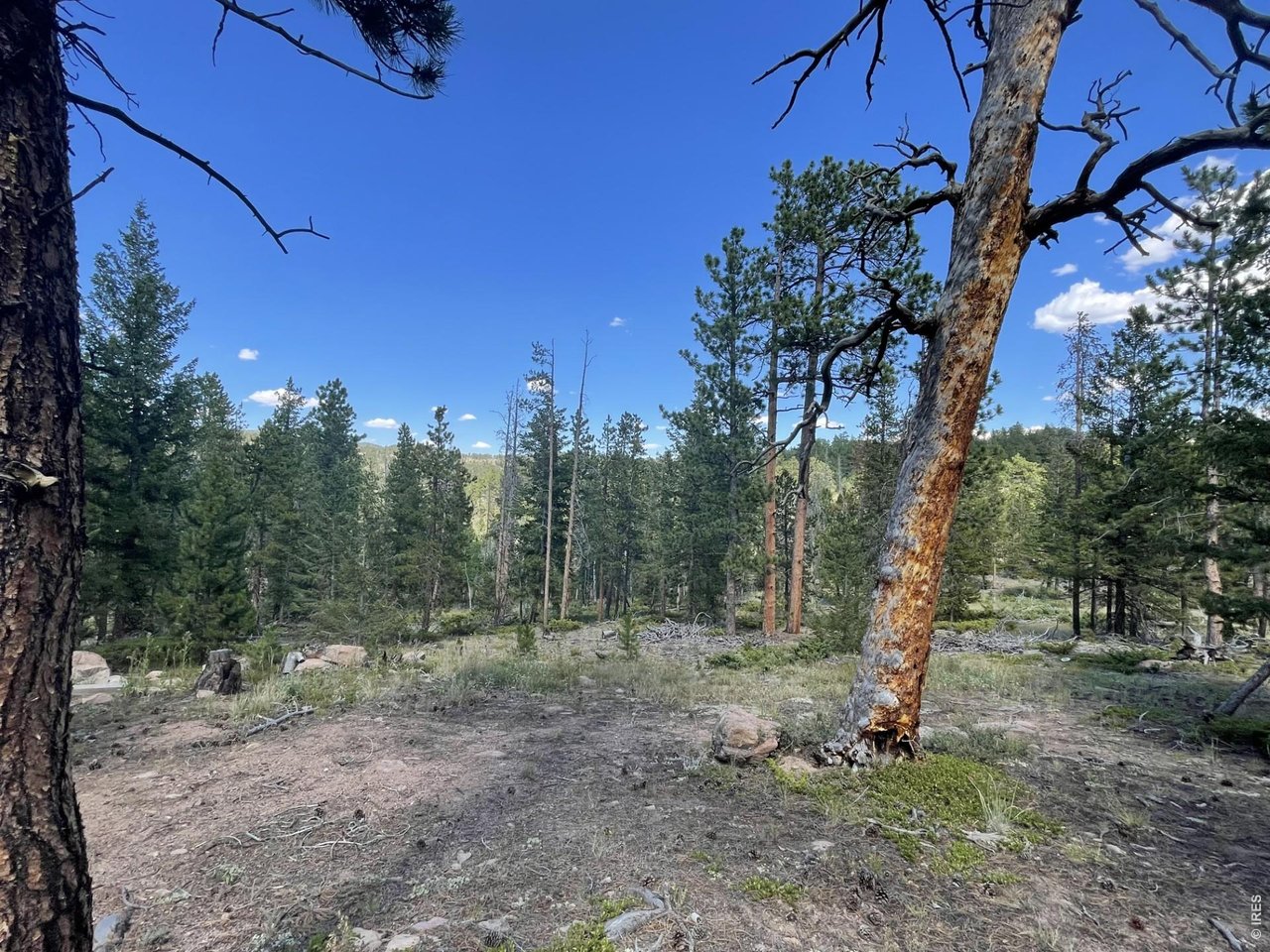 34 Shawnee Road Red Feather Lakes, CO 80545 - Photo 7 of 31