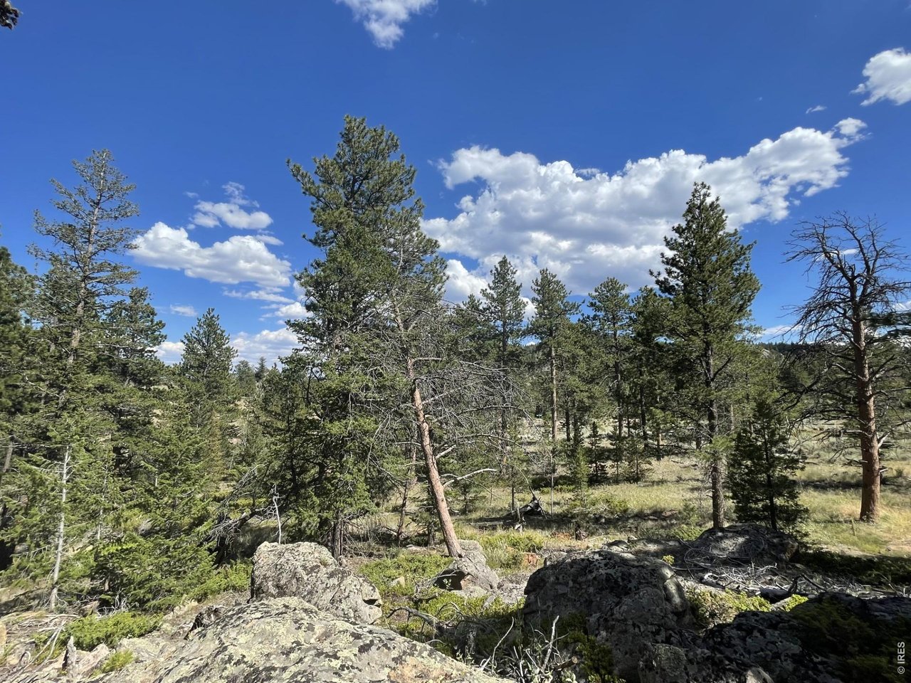 34 Shawnee Road Red Feather Lakes, CO 80545 - Photo 8 of 31