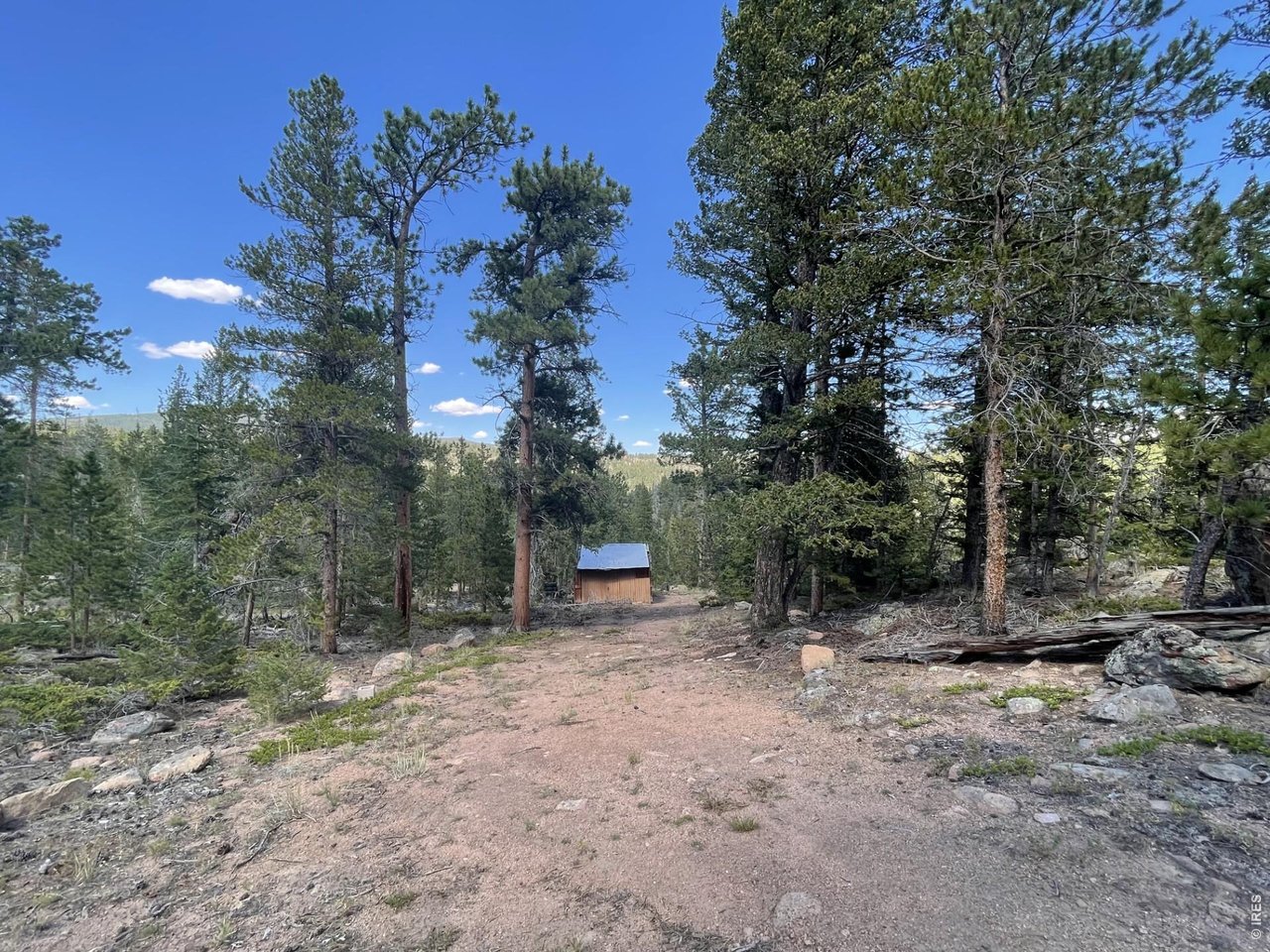 34 Shawnee Road Red Feather Lakes, CO 80545 - Photo 9 of 31 Looking down the drive towards storage shed.