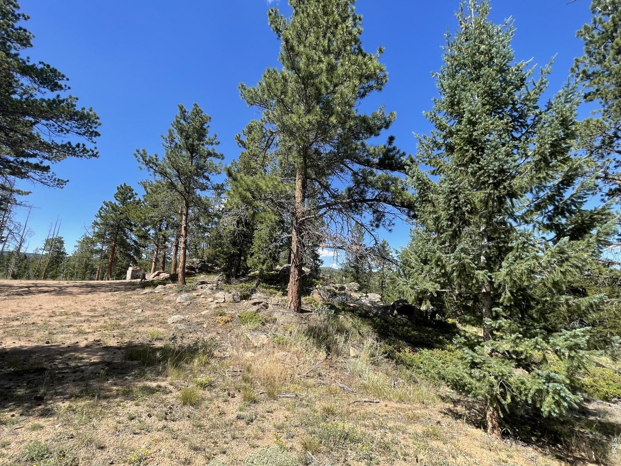 34 Shawnee Road Red Feather Lakes, CO 80545 - Photo 10 of 31