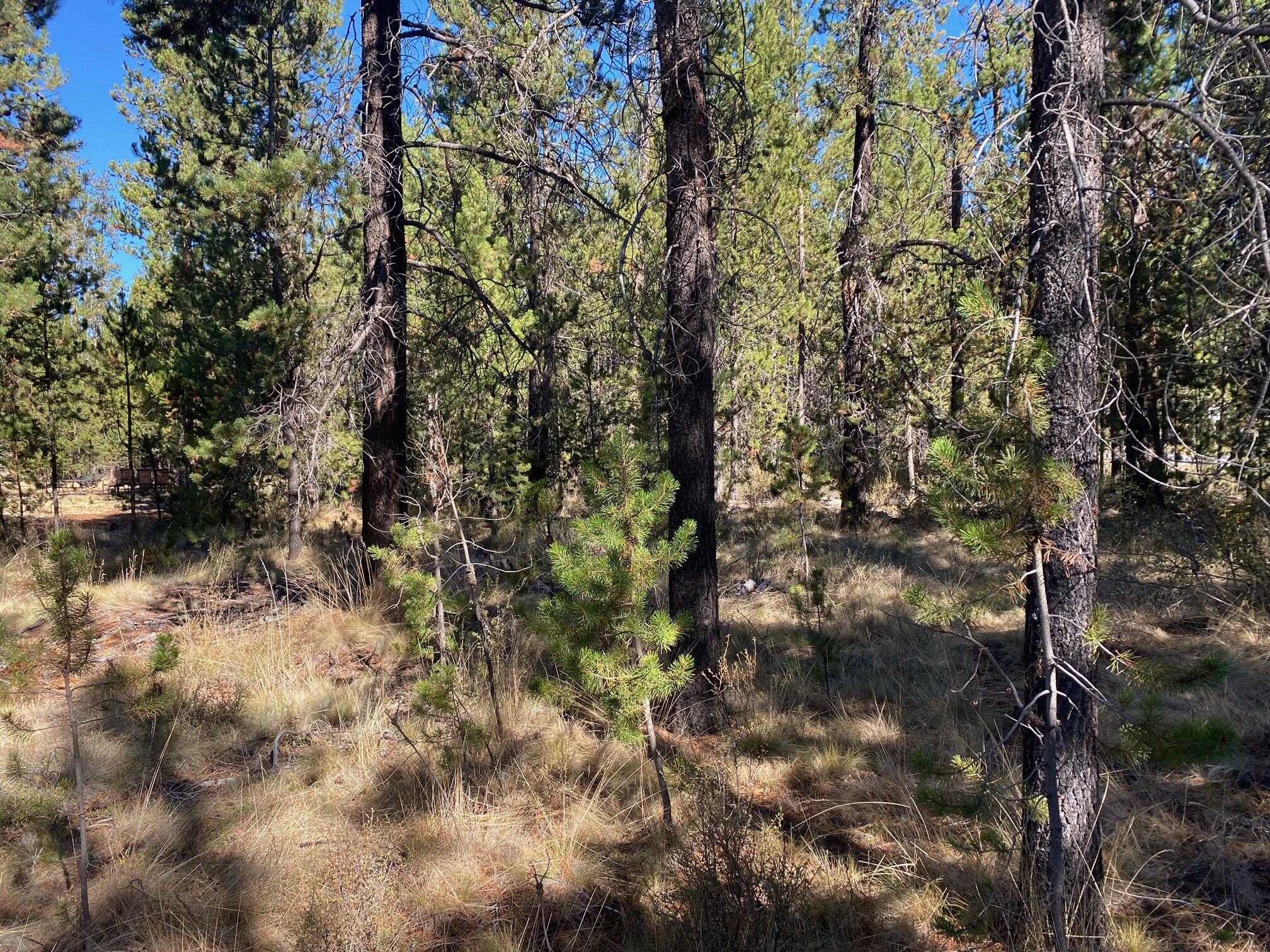 17266 Tholstrup Road Bend, OR 97707 - Photo 5 of 11 image8