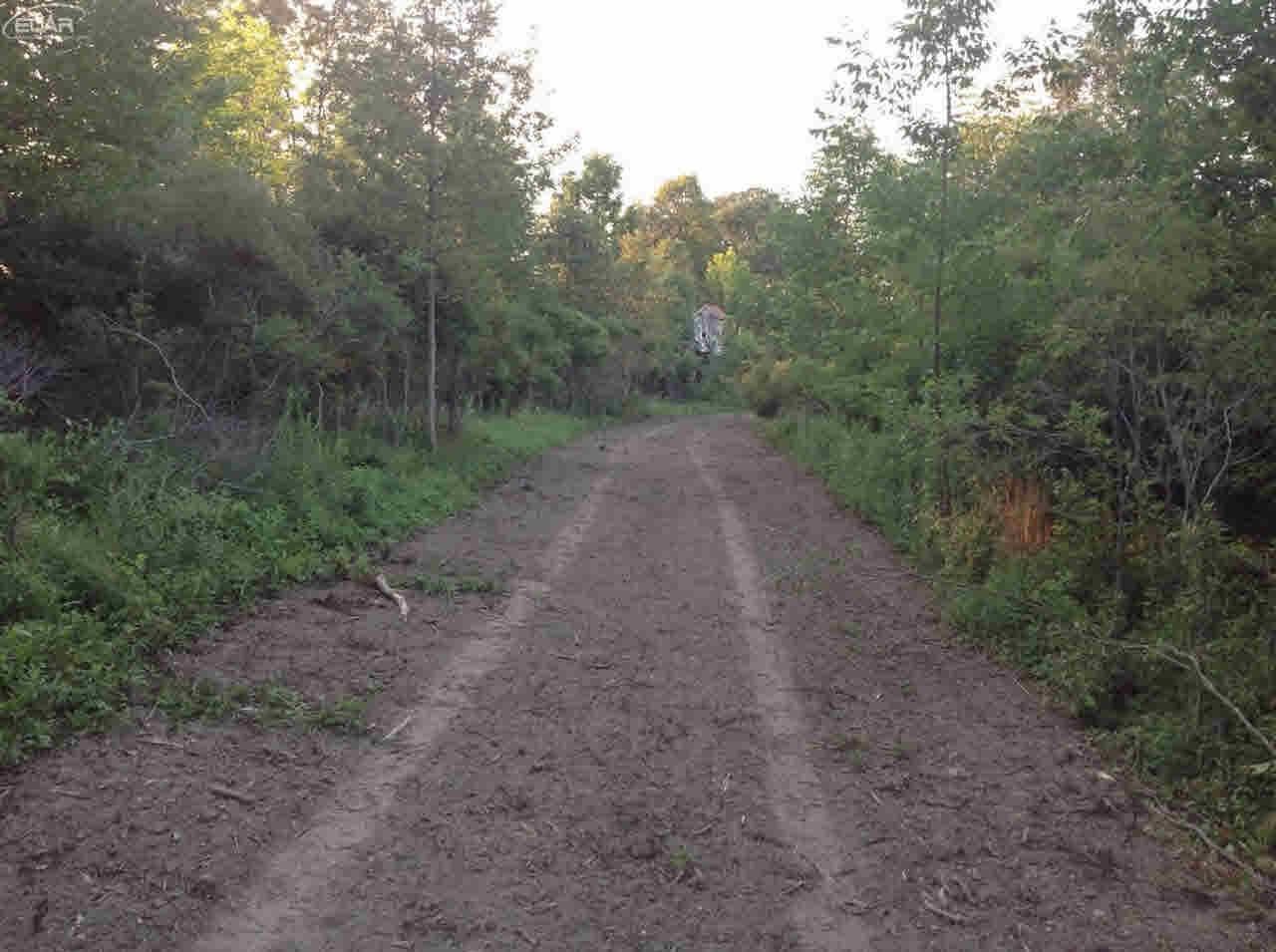 0 Nettney Capac, MI 48014 - Photo 8 of 32