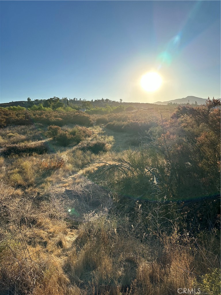 51 Madera Street Hemet, CA 92544 - Photo 4 of 12 View of parcel.