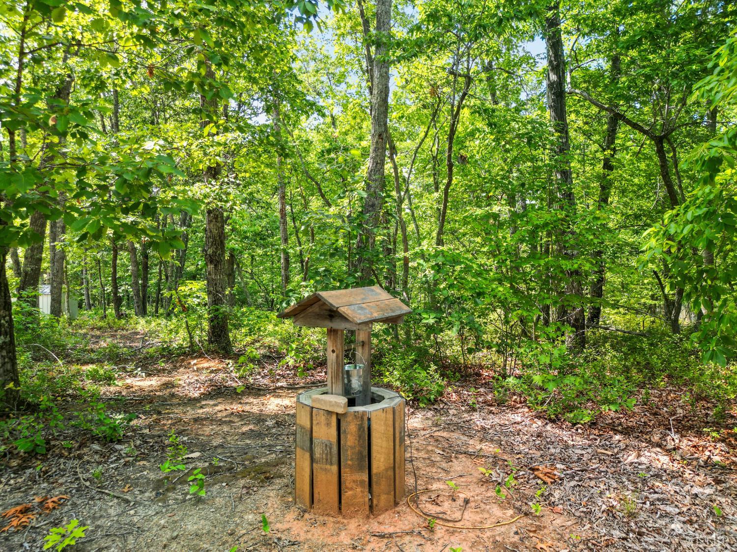 1720 Gallows Road Gretna, VA 24557 - Photo 58 of 73 a view of a table and chairs in the forest