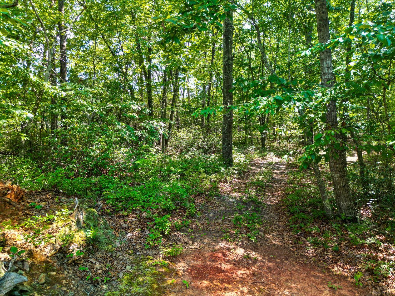 1720 Gallows Road Gretna, VA 24557 - Photo 72 of 73