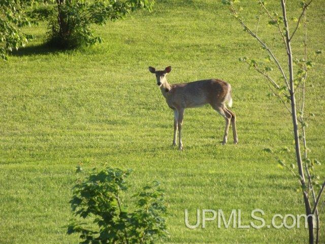 8814 Rousseau Road Mass City, MI 49948 - Photo 33 of 36