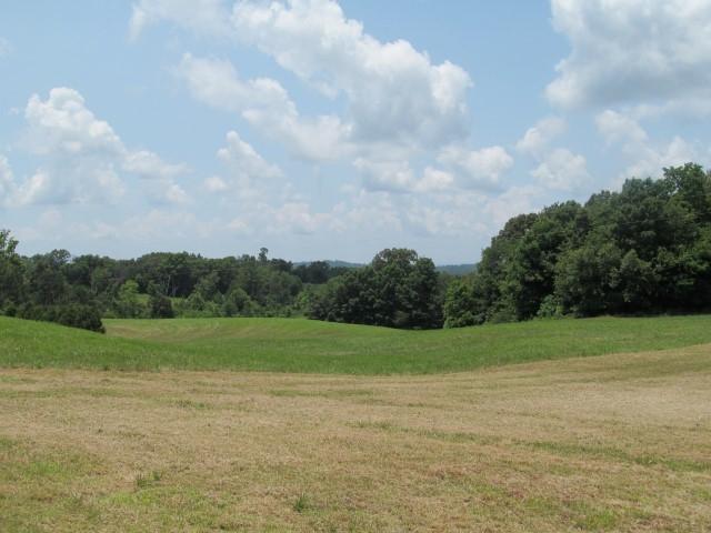 Lot 7 Mount Carmel Decatur Tn 37322 Decatur, TN 37322 - Photo 2 of 9 IMG_0028 (Custom)
