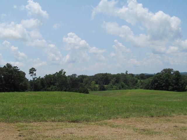 Lot 7 Mount Carmel Decatur Tn 37322 Decatur, TN 37322 - Photo 3 of 9 IMG_0029 (Custom)