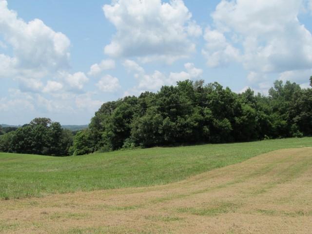 Lot 7 Mount Carmel Decatur Tn 37322 Decatur, TN 37322 - Photo 4 of 9 IMG_0030 (Custom)