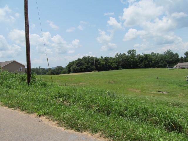 Lot 7 Mount Carmel Decatur Tn 37322 Decatur, TN 37322 - Photo 7 of 9 IMG_0036 (Custom)