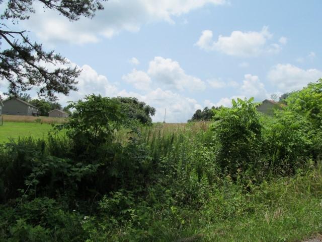 Lot 7 Mount Carmel Decatur Tn 37322 Decatur, TN 37322 - Photo 8 of 9 IMG_0037 (Custom)