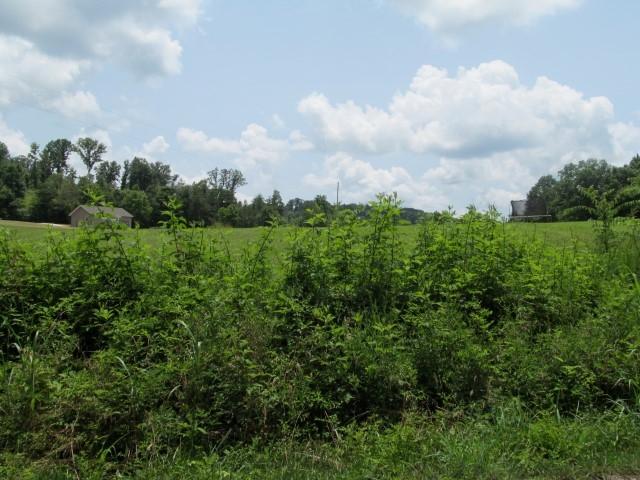 Lot 7 Mount Carmel Decatur Tn 37322 Decatur, TN 37322 - Photo 9 of 9 IMG_0040 (Custom)