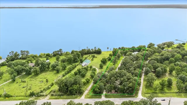 a view of a yard with a plant and a bench